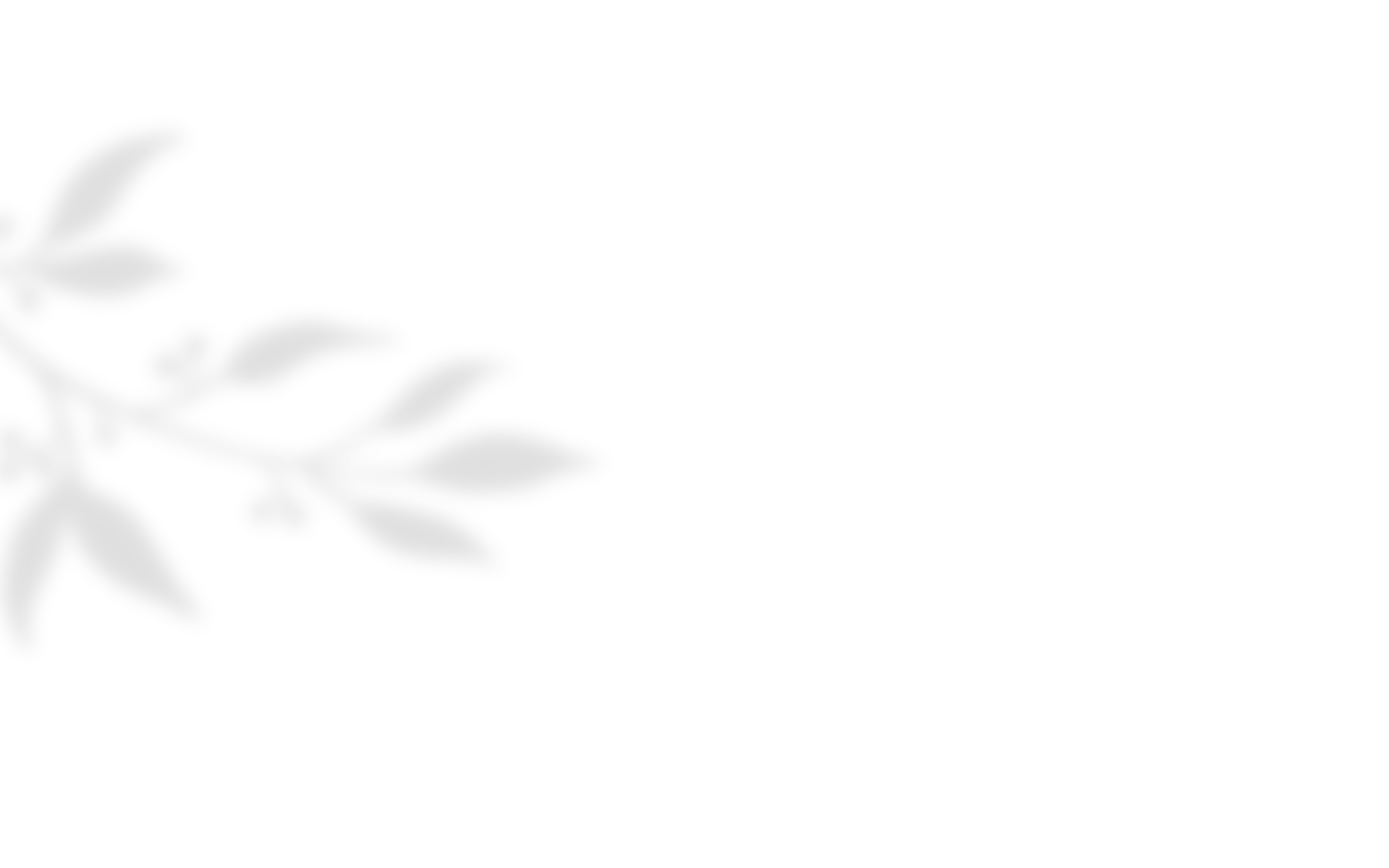 https://forouno.mx/wp-content/uploads/2020/10/shadow_leaves_04.png