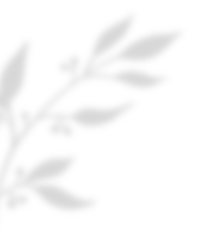 https://forouno.mx/wp-content/uploads/2020/11/shadow_leaves_02.png